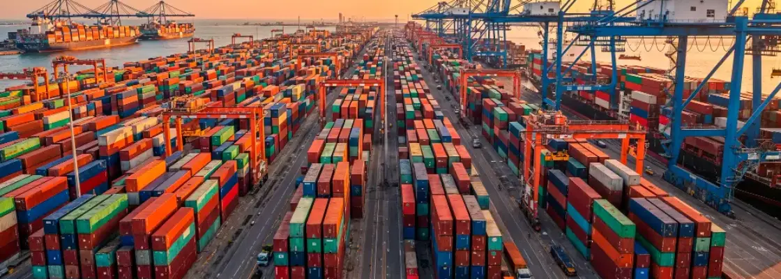 porto com containers representando a duimp