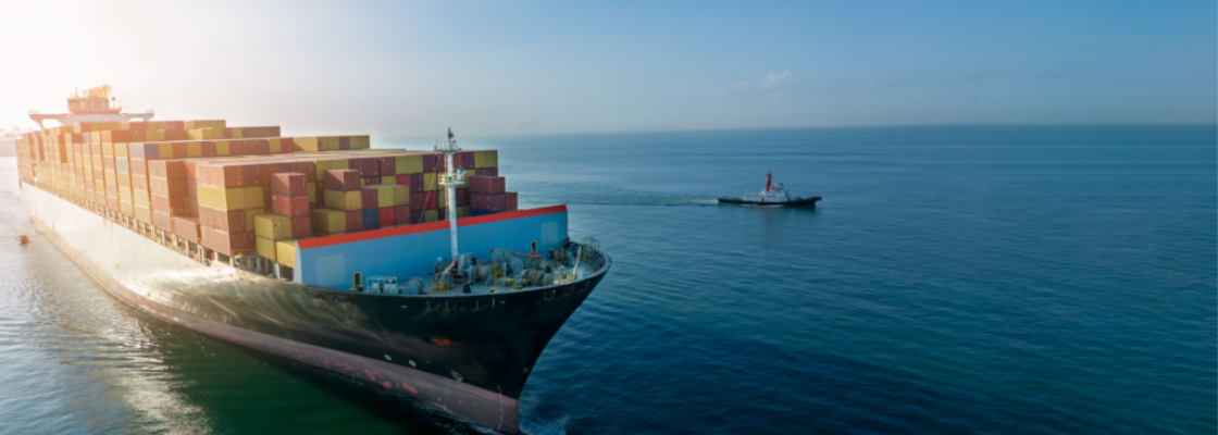 navio com containers em um mar representando software no comex