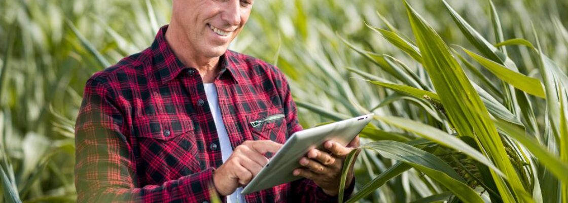 exportacao-de-produtos-agricolas-no-brasil-importancia-tecnologia